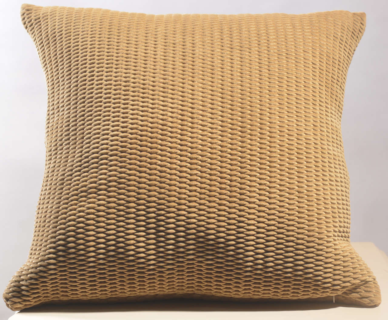 Velvet Pressed Cushion  #CC0017