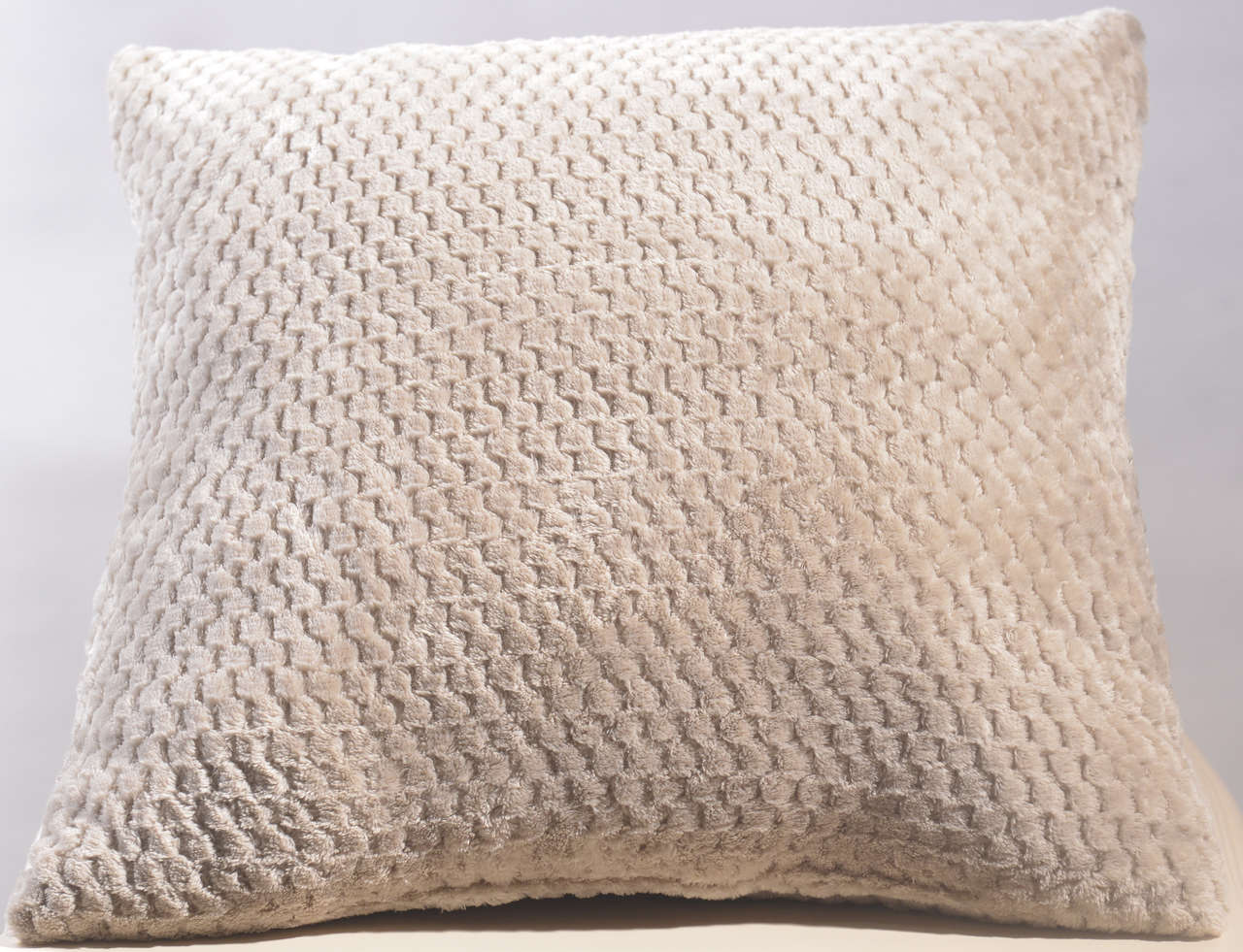 Cushion #CC0100