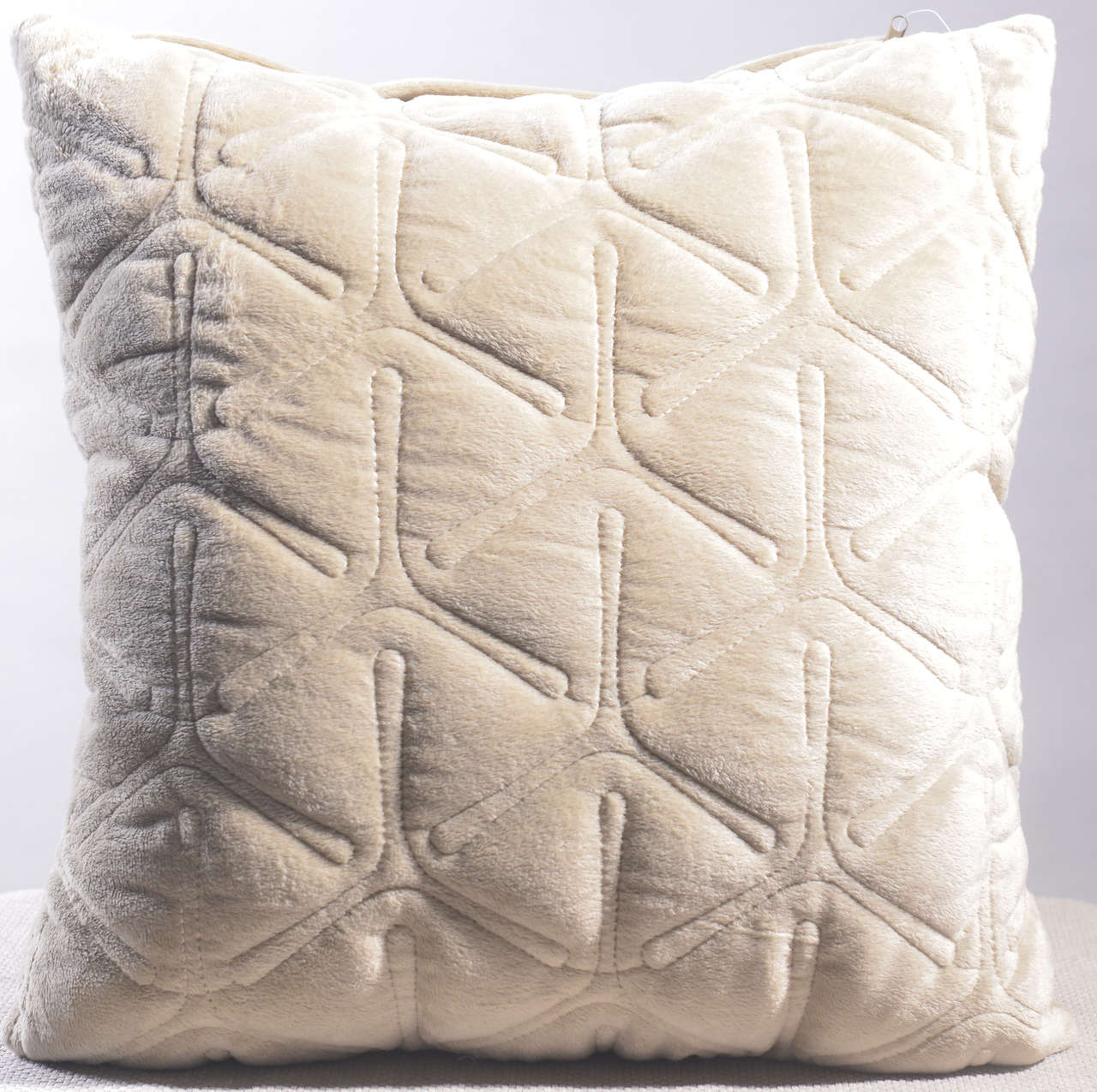 Cushion #CC0102