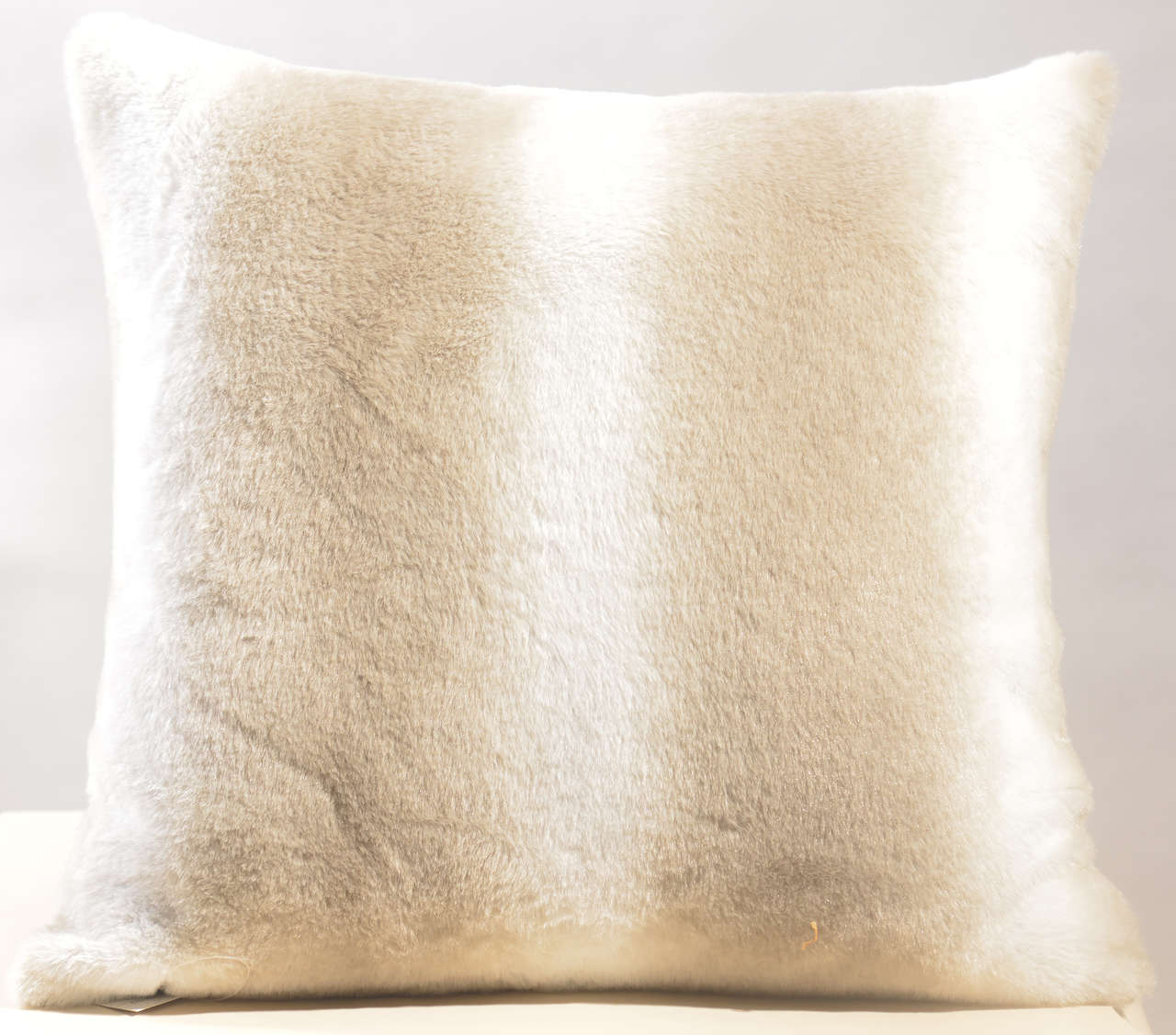 Cushion #CC0135