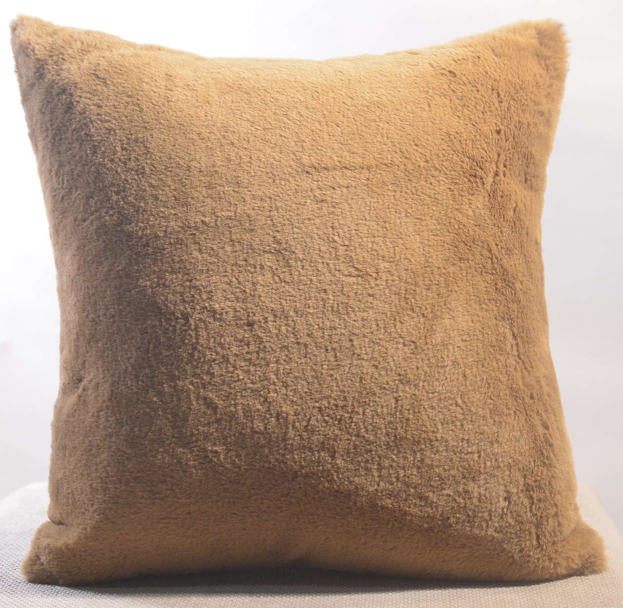 Cushion #CC0139
