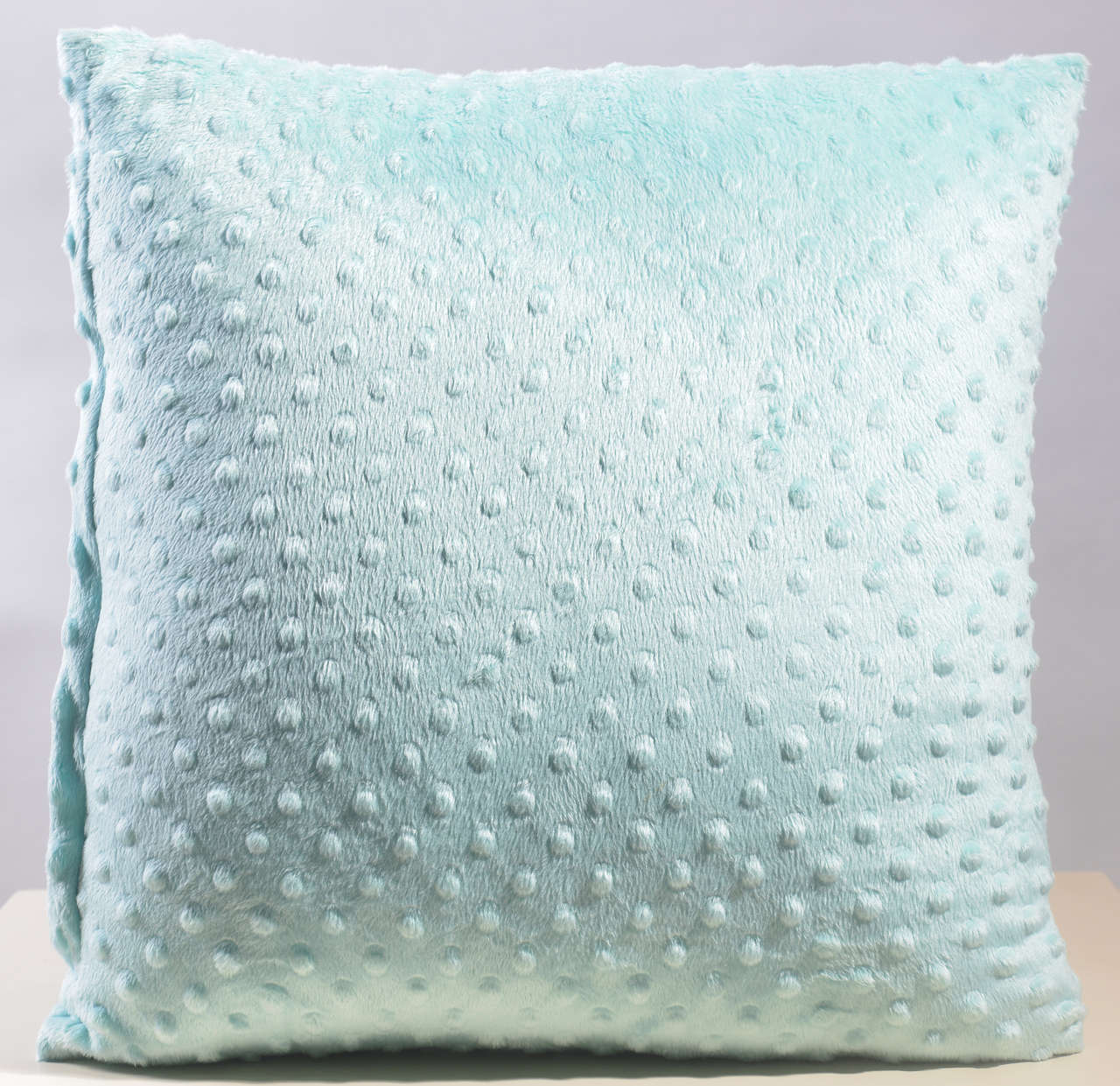 Cushion #CC0147
